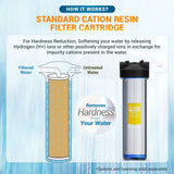 Cation resin filter information - image 3