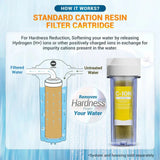 How the cation resin filter cartridge works