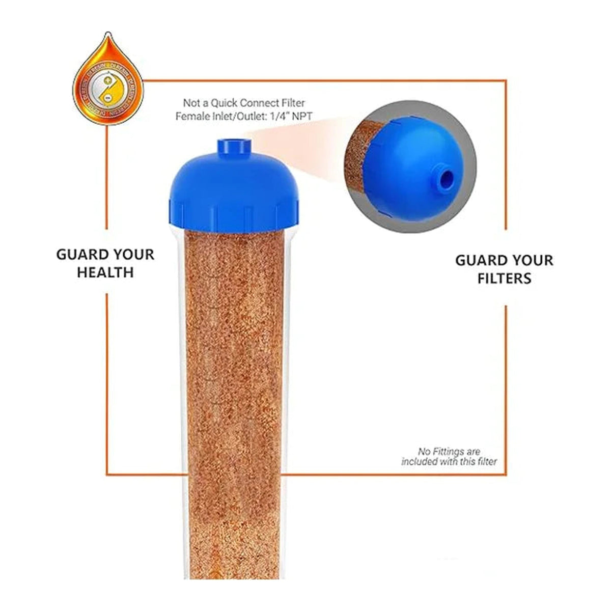 T33 DI filter female threaded inlet and outlet guide